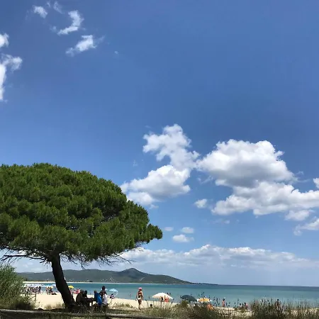 Oda ve Kahvaltı Franzisca